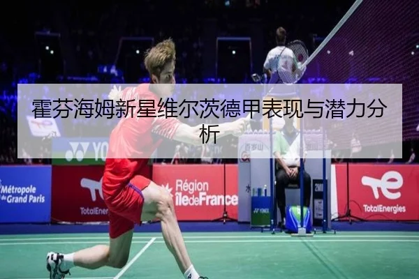 霍芬海姆新星维尔茨德甲表现与潜力分析